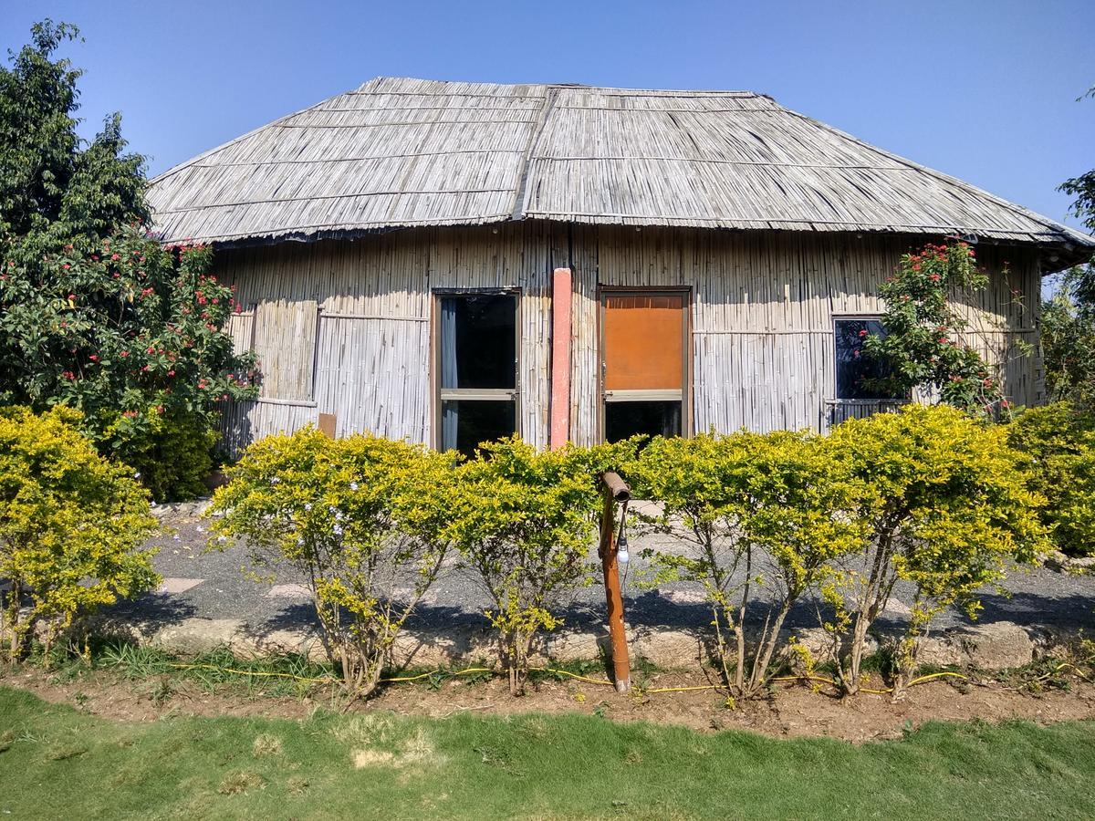 The Hillview Camp Resort Sasan Gir Ngoại thất bức ảnh